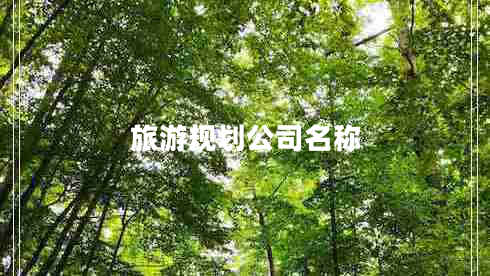 旅游規(guī)劃公司名稱