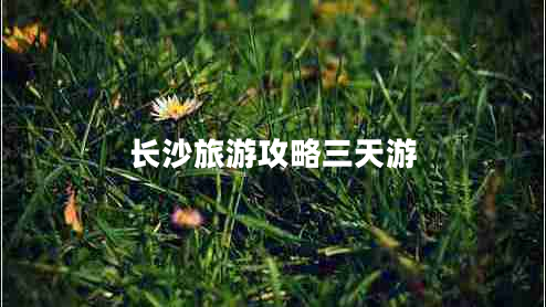 長(cháng)沙旅游攻略三天游