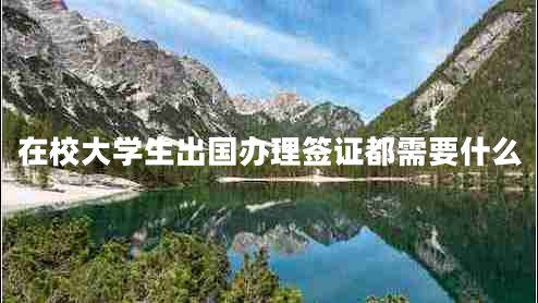 在校大學生出國辦理簽證都需要什么