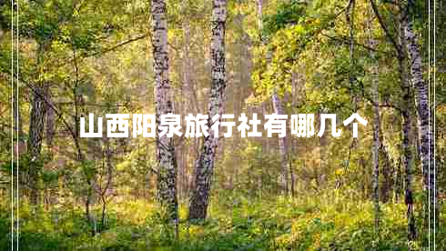 山西陽泉旅行社有哪幾個