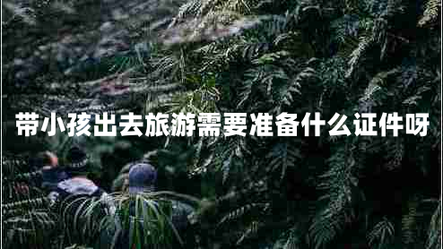 帶小孩出去旅游需要準(zhǔn)備什么證件呀
