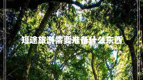 短途旅游需要準備什么東西