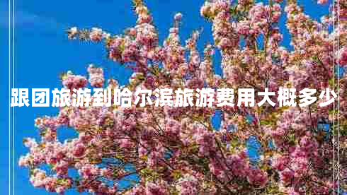 跟團(tuán)旅游到哈爾濱旅游費(fèi)用大概多少