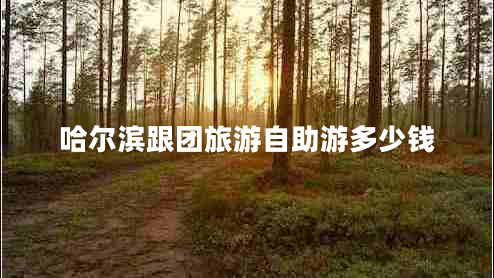 哈爾濱跟團旅游自助游多少錢