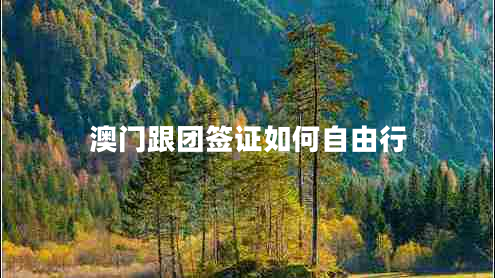 澳門(mén)跟團(tuán)簽證如何自由行