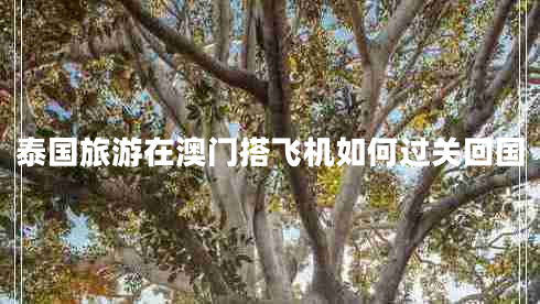 泰國旅游在澳門(mén)搭飛機如何過(guò)關(guān)回國