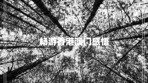 暢游香港澳門感悟