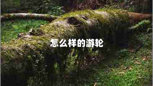 怎么樣的游輪