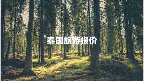 泰國(guó)旅游報(bào)價(jià)