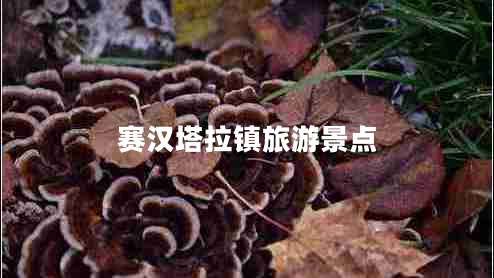 賽漢塔拉鎮旅游景點(diǎn)