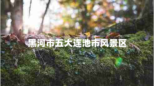 黑河市五大連池市風景區(qū)