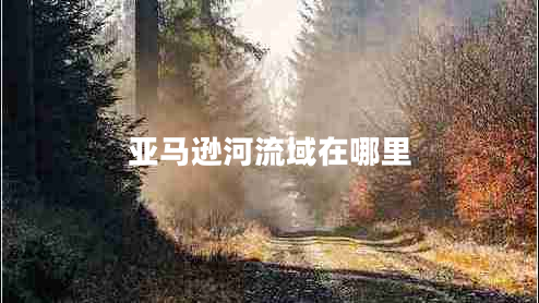 亞馬遜河流域在哪里