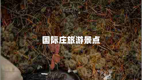 國(guó)際莊旅游景點(diǎn)
