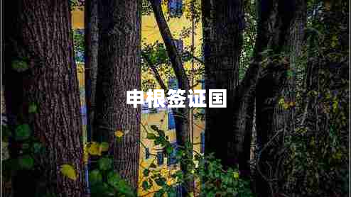 申根簽證國
