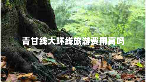 青甘線大環(huán)線旅游費(fèi)用高嗎