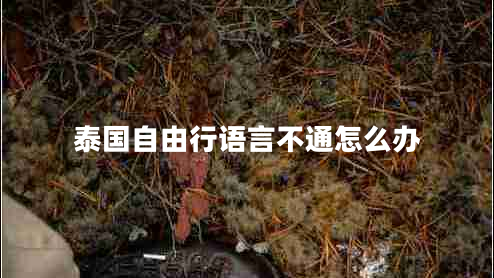 泰國自由行語(yǔ)言不通怎么辦