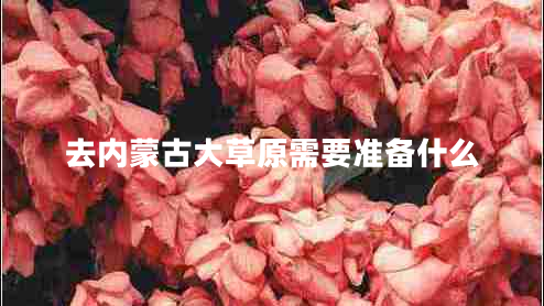 去內蒙古大草原需要準備什么