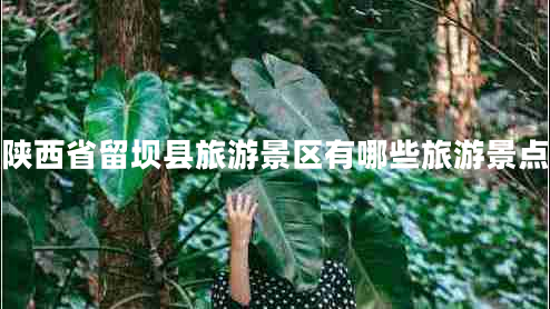 陜西省留壩縣旅游景區有哪些旅游景點(diǎn)