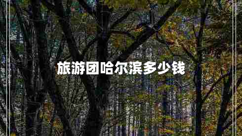 旅游團哈爾濱多少錢