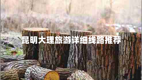 昆明大理旅游詳細線(xiàn)路推薦