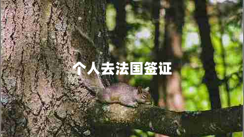 個人去法國簽證