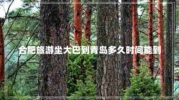合肥旅游坐大巴到青島多久時間能到