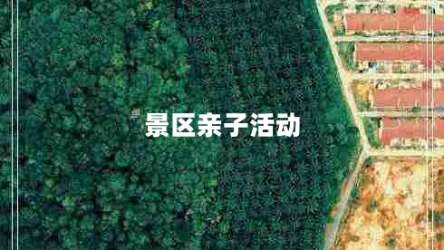 景區(qū)親子活動