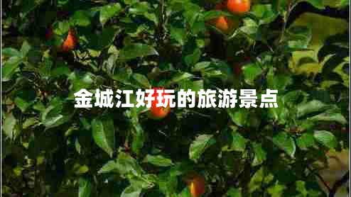 金城江好玩的旅游景點
