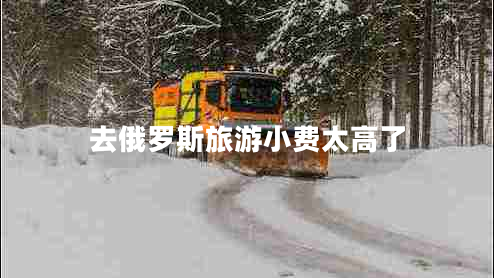 去俄羅斯旅游小費(fèi)太高了