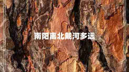 南陽離北戴河多遠