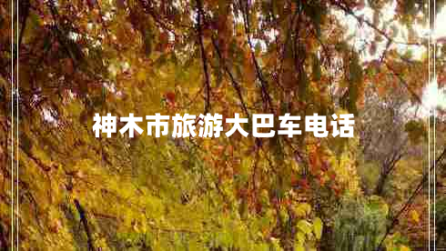神木市旅游大巴車(chē)電話(huà)