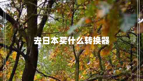 去日本買(mǎi)什么轉(zhuǎn)換器