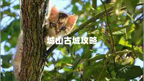 城山古城攻略