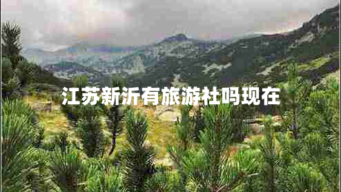 江蘇新沂有旅游社嗎現在