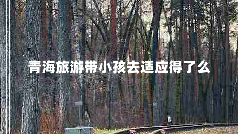 青海旅游帶小孩去適應得了么