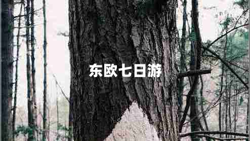 東歐七日游