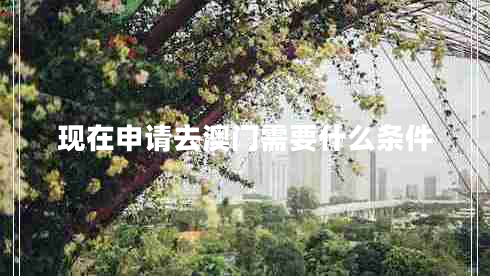 現在申請去澳門(mén)需要什么條件