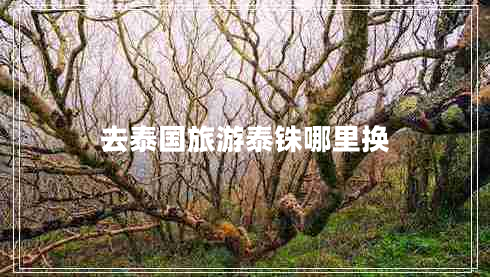 去泰國(guó)旅游泰銖哪里換