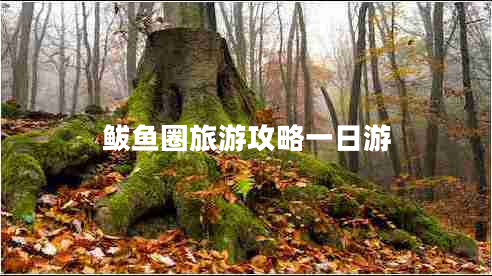 鲅魚(yú)圈旅游攻略一日游