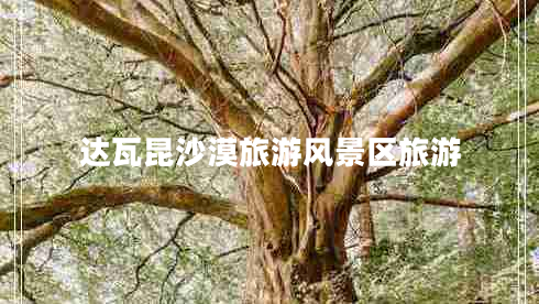 達(dá)瓦昆沙漠旅游風(fēng)景區(qū)旅游