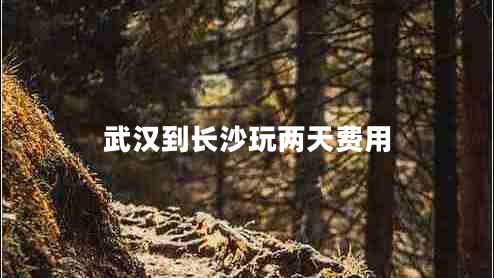 武漢到長(zhǎng)沙玩兩天費(fèi)用