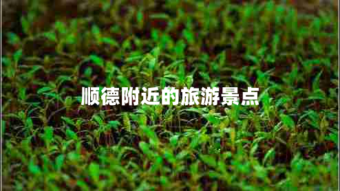 順德附近的旅游景點