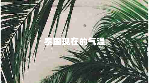 泰國現在的氣溫