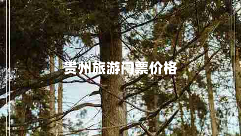 貴州旅游門(mén)票價(jià)格