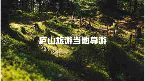 廬山旅游當(dāng)?shù)貙?dǎo)游