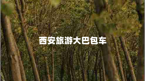 西安旅游大巴包車(chē)