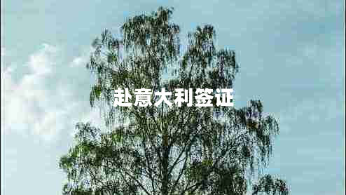 赴意大利簽證
