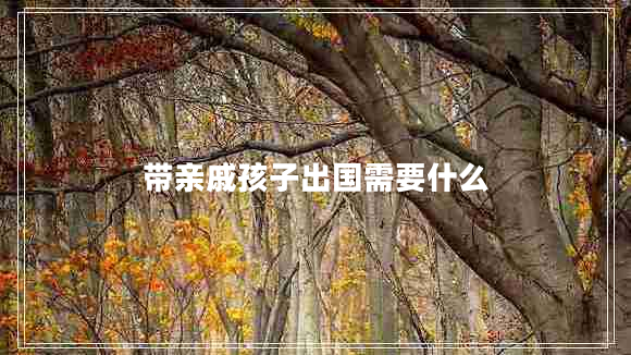 帶親戚孩子出國需要什么