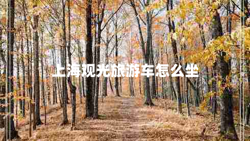 上海觀(guān)光旅游車(chē)怎么坐