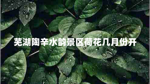 蕪湖陶辛水韻景區荷花幾月份開(kāi)